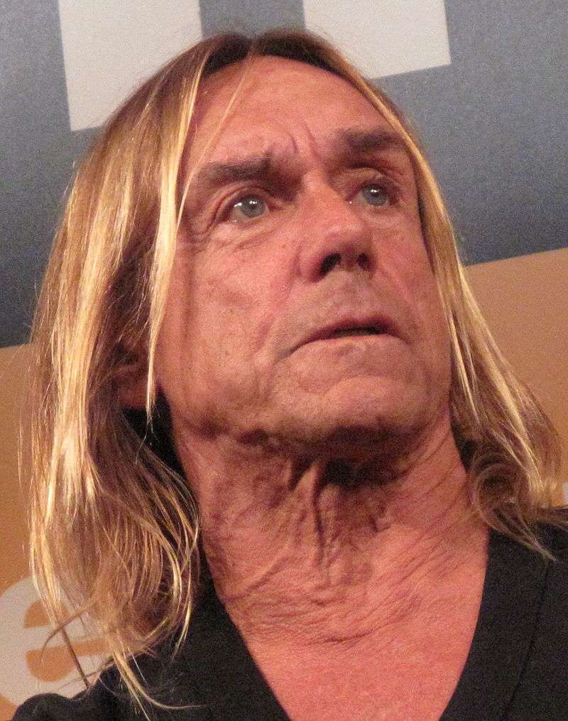 800px Iggy Pop 2