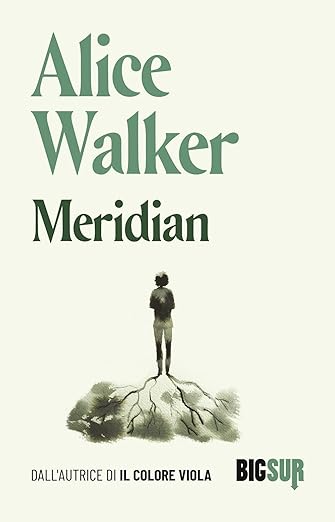 alice walker Meridian
