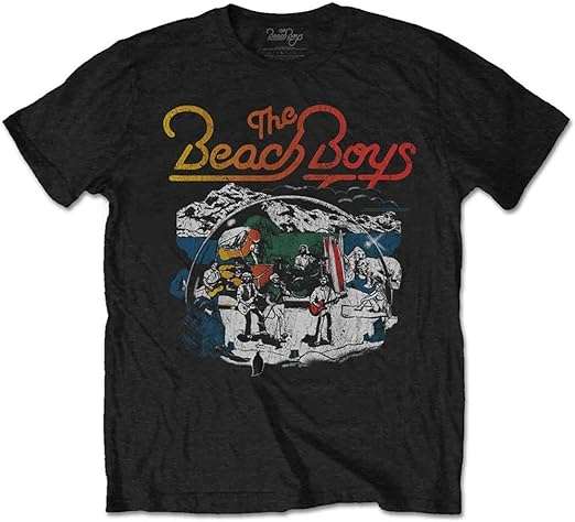 The Beach Boys